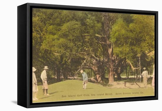 Golf Course, St. Simons Island, Georgia-null-Framed Stretched Canvas