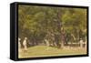 Golf Course, St. Simons Island, Georgia-null-Framed Stretched Canvas