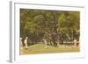 Golf Course, St. Simons Island, Georgia-null-Framed Art Print