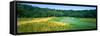 Golf Course, Valhalla Golf Club, Louisville, Jefferson County, Kentucky, USA-null-Framed Stretched Canvas