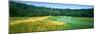 Golf Course, Valhalla Golf Club, Louisville, Jefferson County, Kentucky, USA-null-Mounted Premium Photographic Print