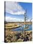 Golf Course View, Bend, Oregon, USA-Tom Norring-Stretched Canvas