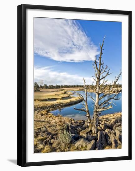 Golf Course View, Bend, Oregon, USA-Tom Norring-Framed Premium Photographic Print