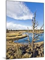 Golf Course View, Bend, Oregon, USA-Tom Norring-Mounted Premium Photographic Print