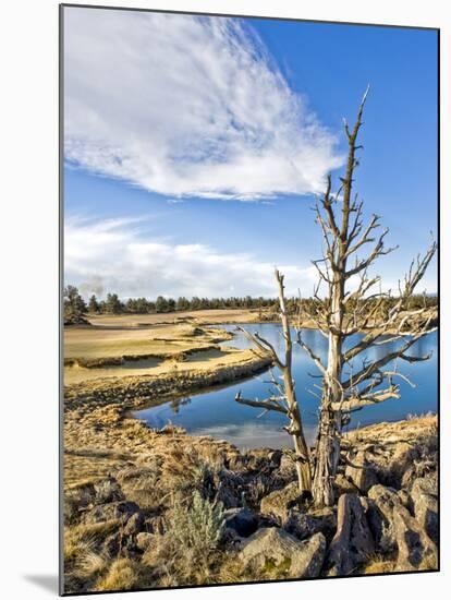 Golf Course View, Bend, Oregon, USA-Tom Norring-Mounted Premium Photographic Print