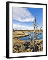 Golf Course View, Bend, Oregon, USA-Tom Norring-Framed Photographic Print