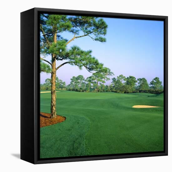 Golf Course, West Bay Club, Estero, Lee County, Florida, USA-null-Framed Stretched Canvas