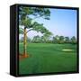 Golf Course, West Bay Club, Estero, Lee County, Florida, USA-null-Framed Stretched Canvas