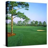 Golf Course, West Bay Club, Estero, Lee County, Florida, USA-null-Stretched Canvas