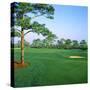 Golf Course, West Bay Club, Estero, Lee County, Florida, USA-null-Stretched Canvas
