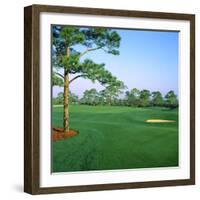 Golf Course, West Bay Club, Estero, Lee County, Florida, USA-null-Framed Photographic Print