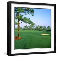 Golf Course, West Bay Club, Estero, Lee County, Florida, USA-null-Framed Photographic Print