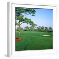 Golf Course, West Bay Club, Estero, Lee County, Florida, USA-null-Framed Photographic Print