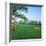 Golf Course, West Bay Club, Estero, Lee County, Florida, USA-null-Framed Photographic Print