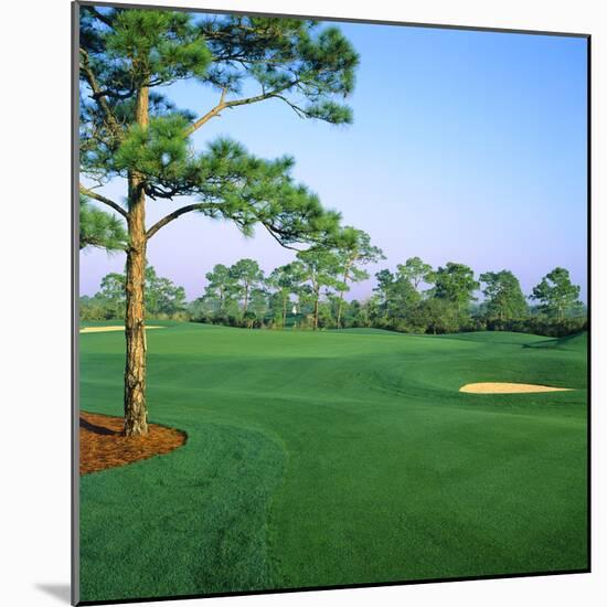 Golf Course, West Bay Club, Estero, Lee County, Florida, USA-null-Mounted Photographic Print