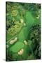 Golf Course-null-Stretched Canvas