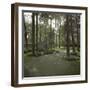 Golf Course-null-Framed Photographic Print