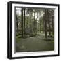 Golf Course-null-Framed Photographic Print