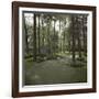 Golf Course-null-Framed Photographic Print