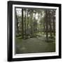 Golf Course-null-Framed Photographic Print