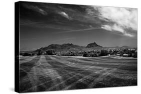 Golf CourseScottsdale Arizona b/w-null-Stretched Canvas