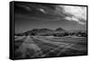 Golf CourseScottsdale Arizona b/w-null-Framed Stretched Canvas