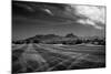 Golf CourseScottsdale Arizona b/w-null-Mounted Photo