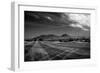 Golf CourseScottsdale Arizona b/w-null-Framed Photo