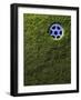 Golf Cup-Joseph Hancock-Framed Photographic Print