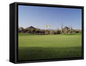 Golf Flag in a Golf Course, Troon North Golf Club, Scottsdale, Maricopa County, Arizona, USA-null-Framed Stretched Canvas