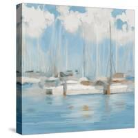 Golf Harbor Boats I-Dan Meneely-Stretched Canvas