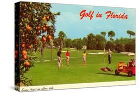 Golf in Florida-null-Stretched Canvas