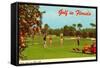 Golf in Florida-null-Framed Stretched Canvas