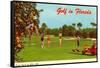 Golf in Florida-null-Framed Stretched Canvas