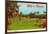 Golf in Florida-null-Framed Art Print