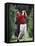 Golf :Leisure Men-null-Framed Stretched Canvas