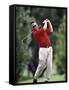 Golf :Leisure Men-null-Framed Stretched Canvas