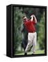 Golf :Leisure Men-null-Framed Stretched Canvas