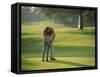 Golf Lessons-null-Framed Stretched Canvas