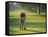 Golf Lessons-null-Framed Stretched Canvas