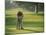 Golf Lessons-null-Mounted Premium Photographic Print