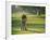 Golf Lessons-null-Framed Photographic Print