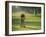 Golf Lessons-null-Framed Photographic Print