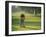 Golf Lessons-null-Framed Photographic Print