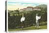 Golf near Grove Park Inn, Asheville, North Carolina-null-Stretched Canvas