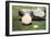 Golf Putter-Stephen Stavast-Framed Giclee Print