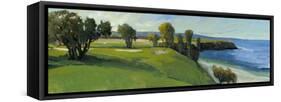 Golf Scene I-Tim O'toole-Framed Stretched Canvas