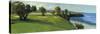 Golf Scene I-Tim O'toole-Stretched Canvas