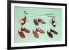 Golf Shoes-null-Framed Premium Giclee Print