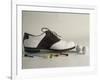 Golf Still Life-null-Framed Premium Photographic Print